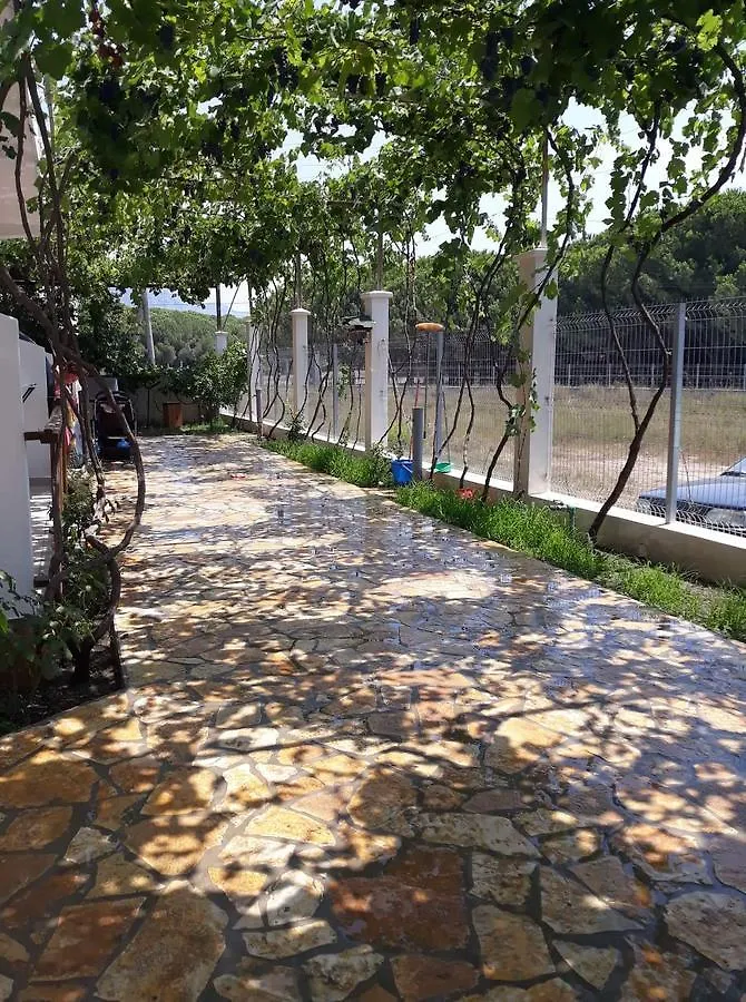 Apartments Kraja Velipojë Albánie